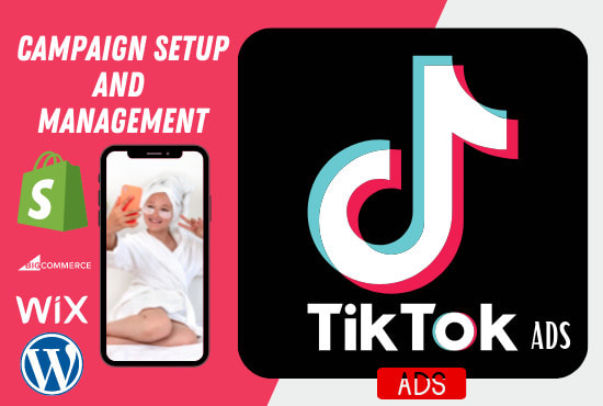 Gig Preview - Create, run and manage tiktok ads, tiktok ads campaign, shopify tiktok promotion