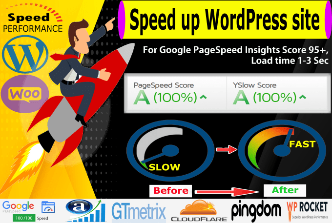 Gig Preview - Speed up wordpress website for google pagespeed insights