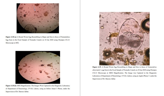 Gig Preview - Technical reports on parasitology