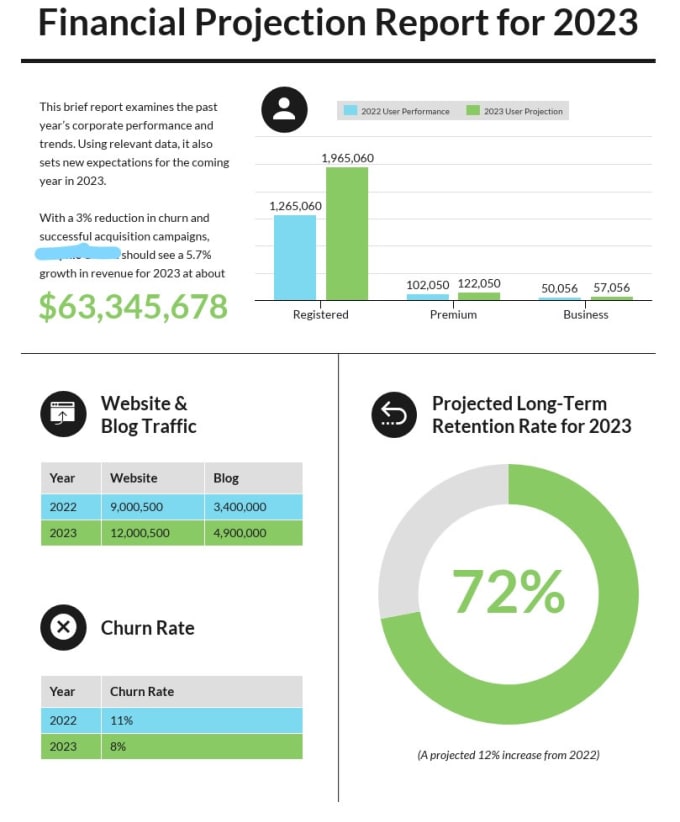 Gig Preview - Make profit and loss income statement balance sheet and financial statements