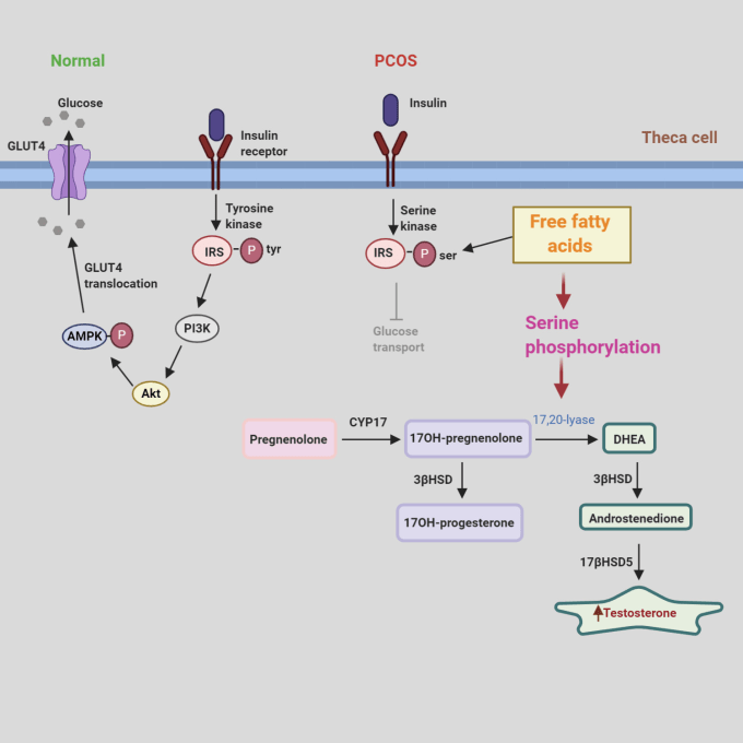 Gig Preview - Make your figures with innovative designs on biorender and powerpoint