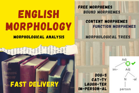 Gig Preview - Help you in english morphology, morphophonology, and morphological analysis