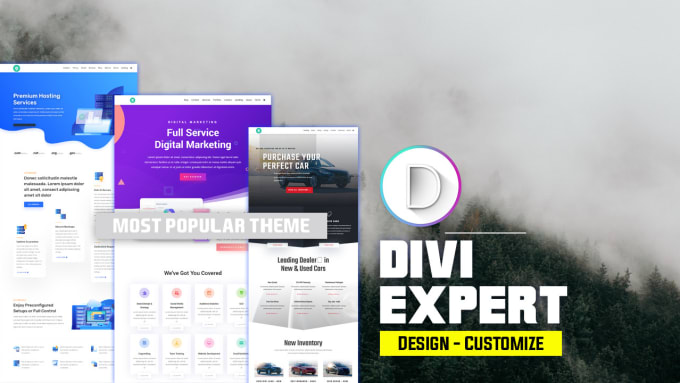 Gig Preview - Design customize wordpress website redesign by divi theme