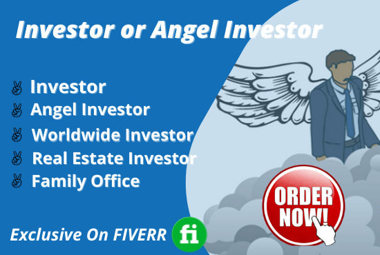 Gig Preview - Find angel investors and building active investor email list