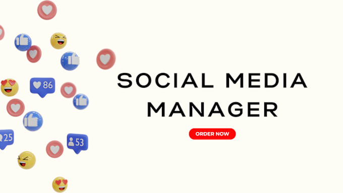 Gig Preview - Be your social media manager for business