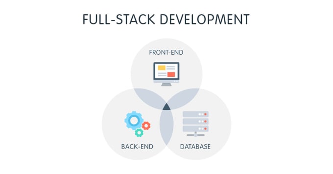 Gig Preview - Do custom web development