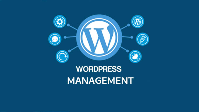 Gig Preview - Manage and maintain wordpress website weekly or monthly