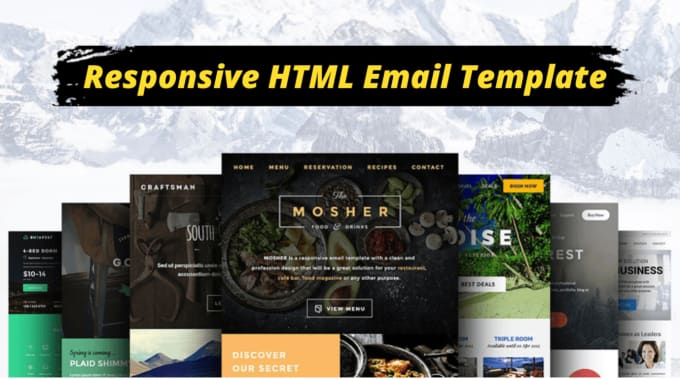 Gig Preview - Design HTML email template, responsive email template