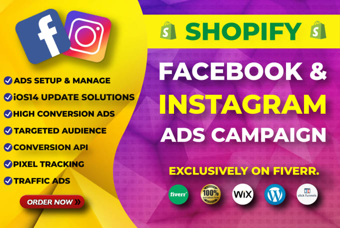 Gig Preview - Be shopify facebook ads manager and run fb ads, fb advertising, fb marketing