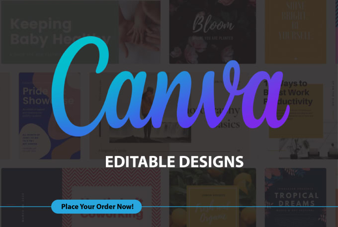 Gig Preview - Design anything in canva editable