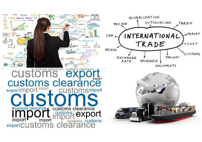 Bestseller - provide consultation import, export, customs business in turkey