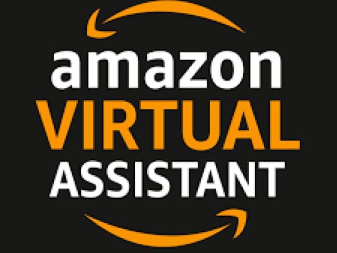 Gig Preview - Be your amazon wholesale virtual assistant, amazon fba wholesale VA