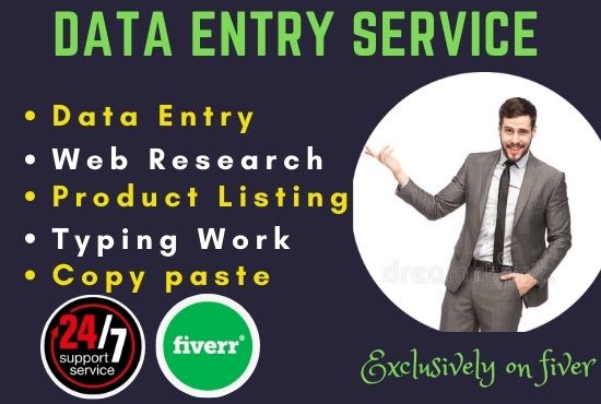 Gig Preview - Do data entry, copy paste and excel work for you