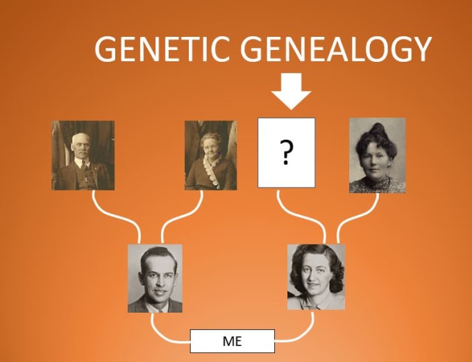 Gig Preview - Help you breakdown a genealogy brick wall with genetic genealogy