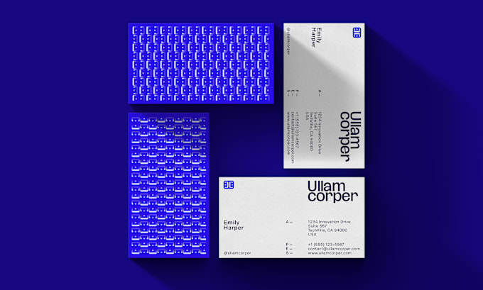 Gig Preview - Design a modern minimalist business card