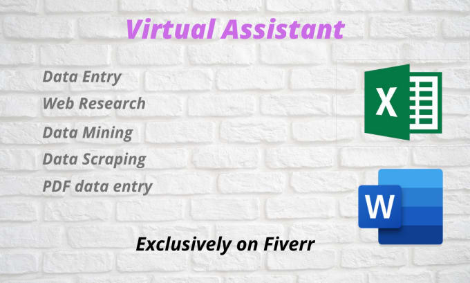 Gig Preview - Be your virtual assistant for data entry, web research, copy paste