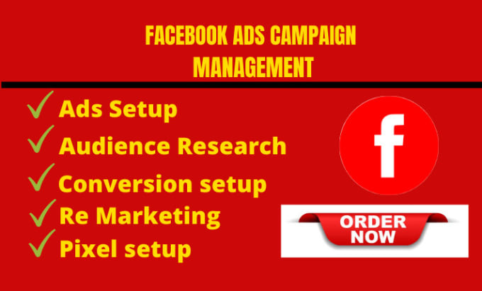 Gig Preview - Setup and manage facebook and instagram ads campaign