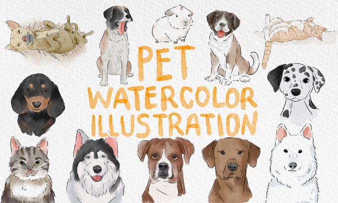 Bestseller - draw a simple watercolor portrait of your pet