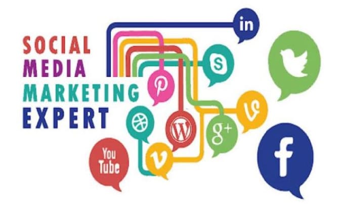 Gig Preview - Do social media and online marketing on a budget