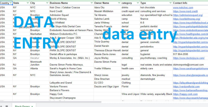 Gig Preview - Do web3, blockchain, and crypto data entry and research