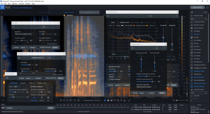 Gig Preview - Restore your damaged audio recordings