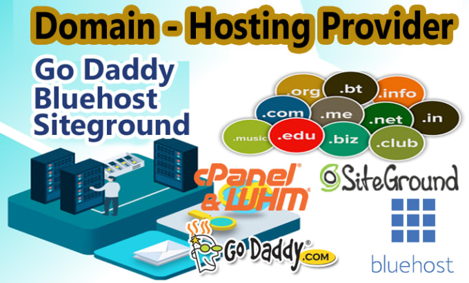 Gig Preview - Provide web hosting domain on bluehost godaddy namecheap