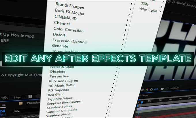 Gig Preview - Edit any after effects template