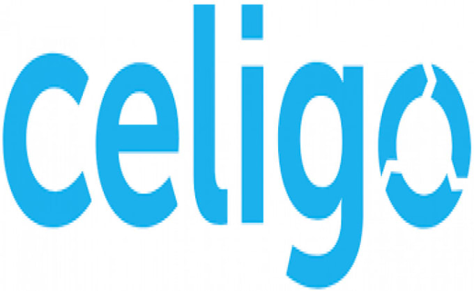 Gig Preview - Provide celigo integrations with different ecommerce stores erp and CRM