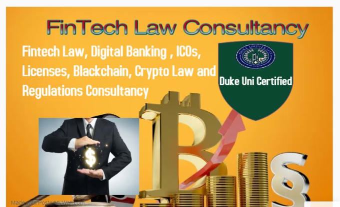 Gig Preview - Provide fintech and crypto law consultancy