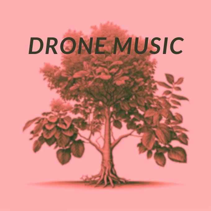 Gig Preview - Make an ambient meditative drone track for you