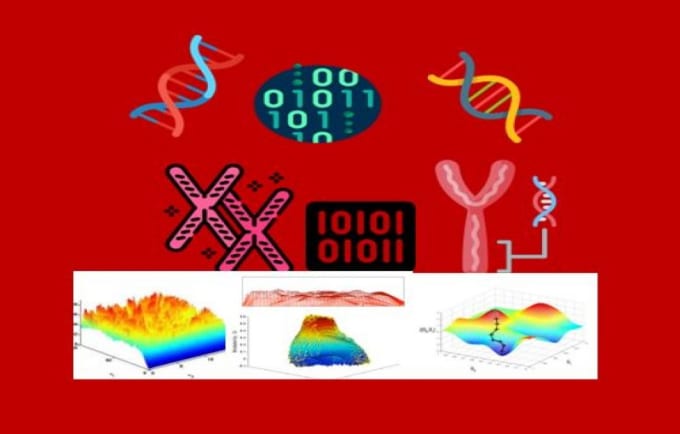 Gig Preview - Help in optimization problems using genetic algorithms