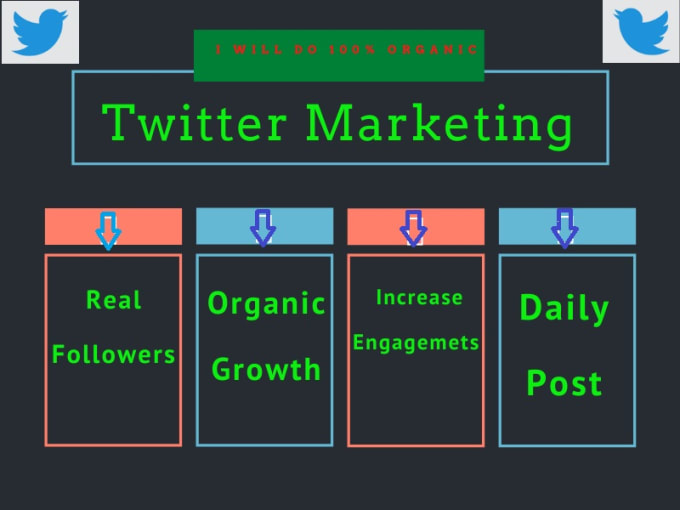 Gig Preview - Organically grow and promote your twitter account