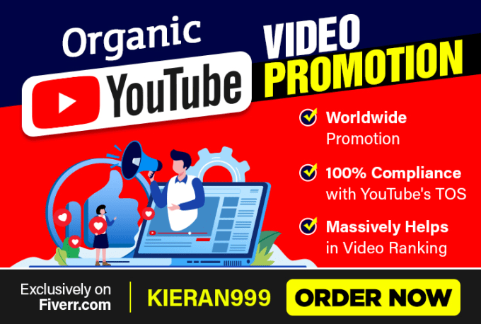 Gig Preview - Do organic youtube video promotion with a free sample