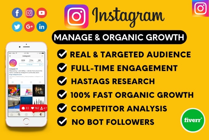 Gig Preview - Do fast organic instagram growth