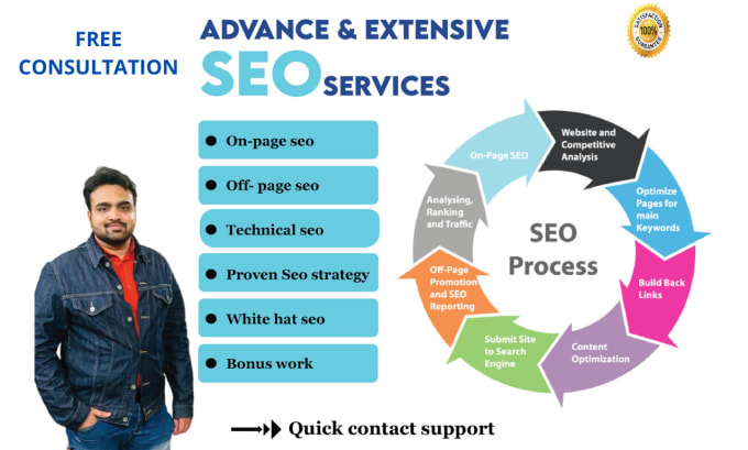 Bestseller - do advance on page off page seo and technical optimization of wordpress site