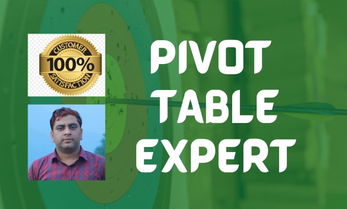 Gig Preview - Create and design pivot table, pivot chart, and dashboard