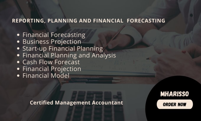 Gig Preview - Prepare financial plan and financial projection without business plan