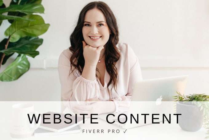 Gig Preview - Write optimized website content