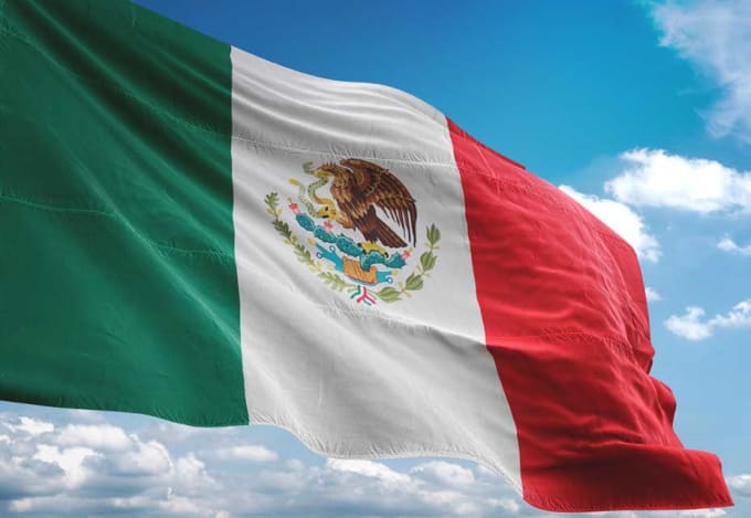 Gig Preview - Help you develop your digital service in mexico