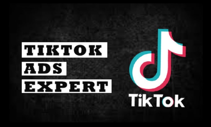 Gig Preview - Be your tik tok ads expert