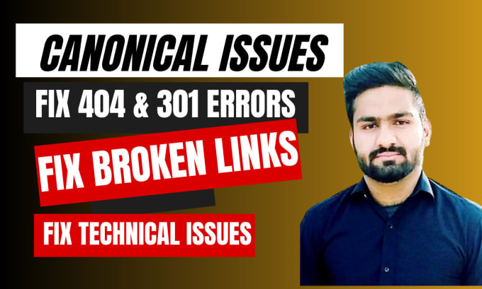 Gig Preview - Fix 404,301,broken links and canonical issues of any website