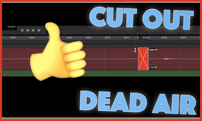 Gig Preview - Edit out dead air from your audio recordings