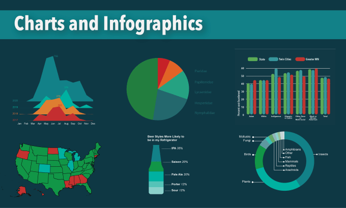 Gig Preview - Create charts, tables, and infographics that inspire