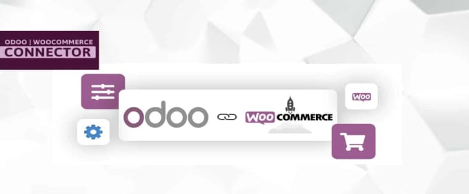 Gig Preview - Connect odoo with woocommerce shopify