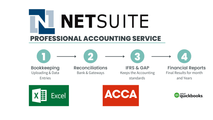 Gig Preview - Expert netsuite bookkeeping and financial reporting services