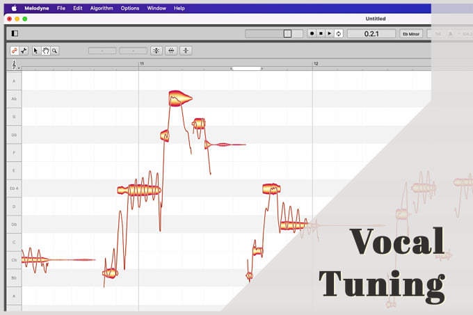 Gig Preview - Professionally tune your vocals