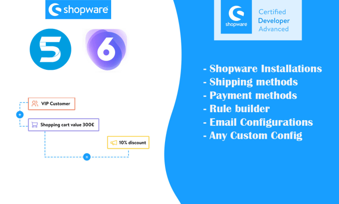 Gig Preview - Update shopware 6 shop to latest