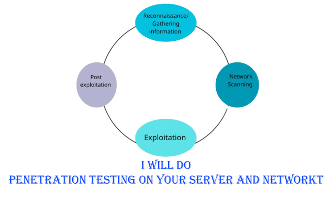 Gig Preview - Perform penetration testing on your network and server