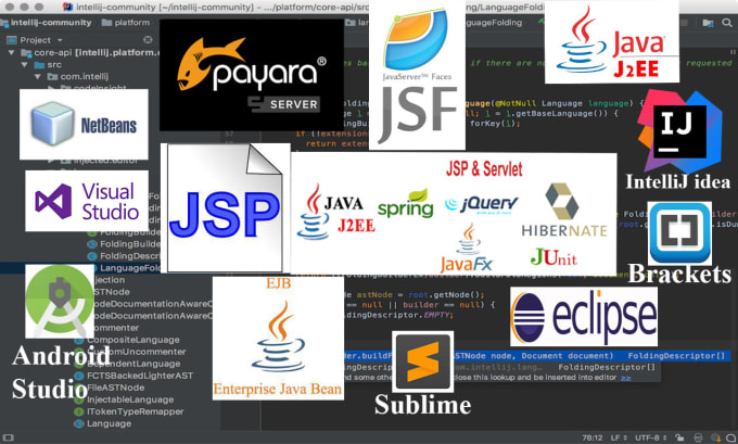 Gig Preview - Do java,j2ee,ejb,jsf, jsp,servlet and payara server projects