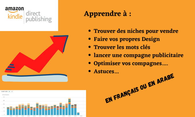 Gig Preview - Coach you in amazon kdp business french and arabic language